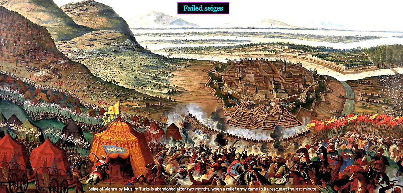 Failed siege of Vienna, 1493